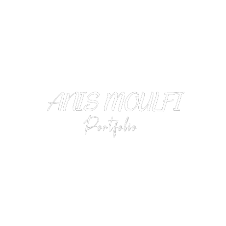 Logo de Anis Moulfi